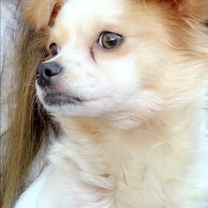 Meet your Posher, Lizette